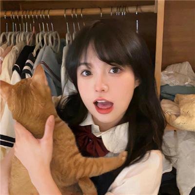 猫和老鼠：海盗寻宝