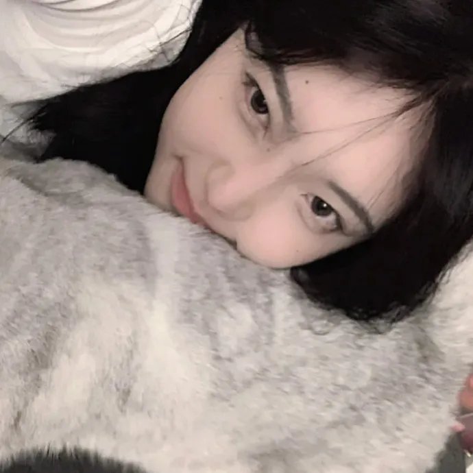 切尔西侦探第二季